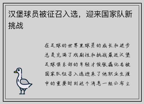 汉堡球员被征召入选，迎来国家队新挑战